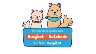 dog clinics bangkok Animal Hospital Bangkok - Ratchada.