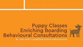 dog training classes bangkok Happy Howl - Dog Behavior and Boarding Services by Vets