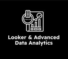 Google Looker & Advanced Data Analytics