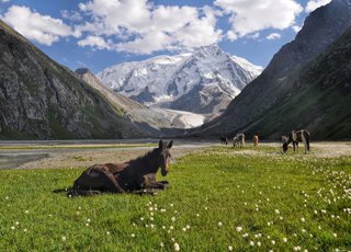 Mountain Biking Kazakhstan and Kyrgyzstan