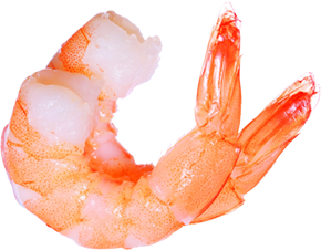 Go Shrimp - Thai Food