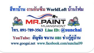professional painters stores bangkok มิสเตอร์เพ้นท์เมืองนนท์ MR.PAINT MUANGNONT โทร 0917893563