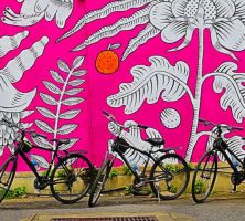 bicycle tours bangkok The Other Side of Bangkok Bike Tours
