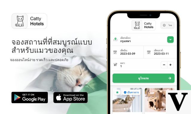 Catty Hotels, cat hotels in Bangkok